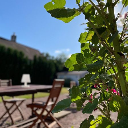 La Croix-en-Touraine La Fedrie Bed & Breakfast エクステリア 写真