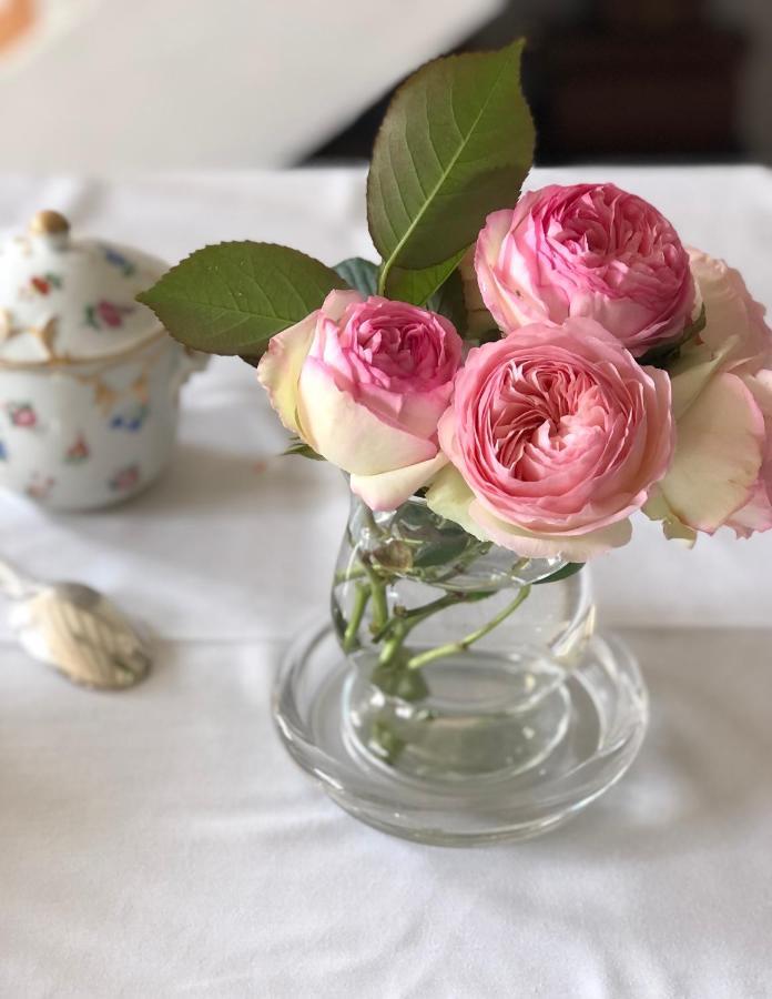 La Croix-en-Touraine La Fedrie Bed & Breakfast エクステリア 写真