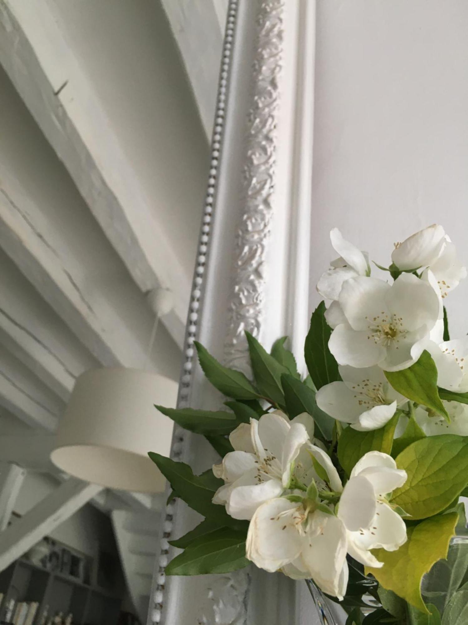 La Croix-en-Touraine La Fedrie Bed & Breakfast エクステリア 写真